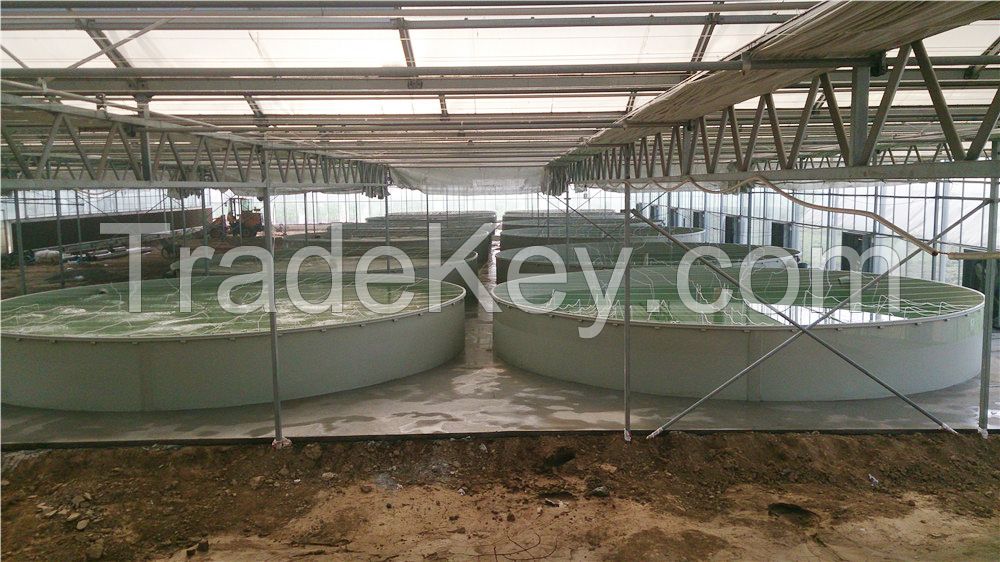 Recirculating Aquaculture System