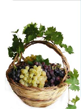 Fresh table grapes ( Organic & Conventional )