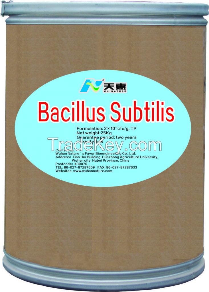 Bio-fungicide organic Bacillus subtilis 200 billion cfu/g TP