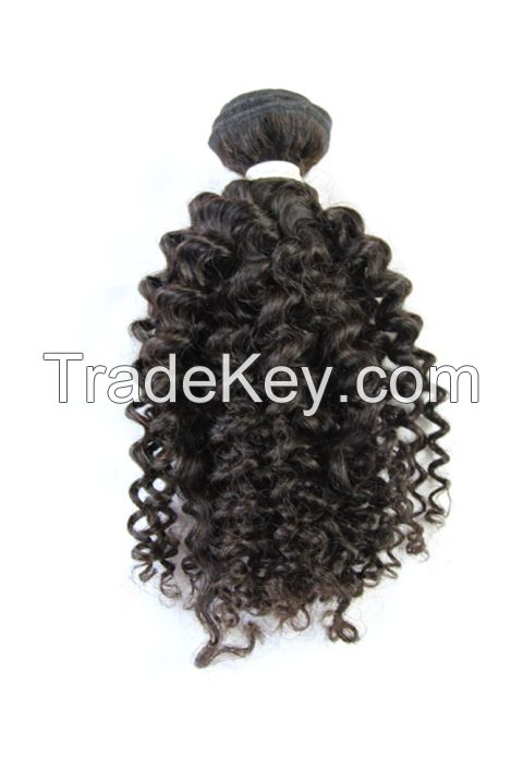 Curly Malaysian virgin hair