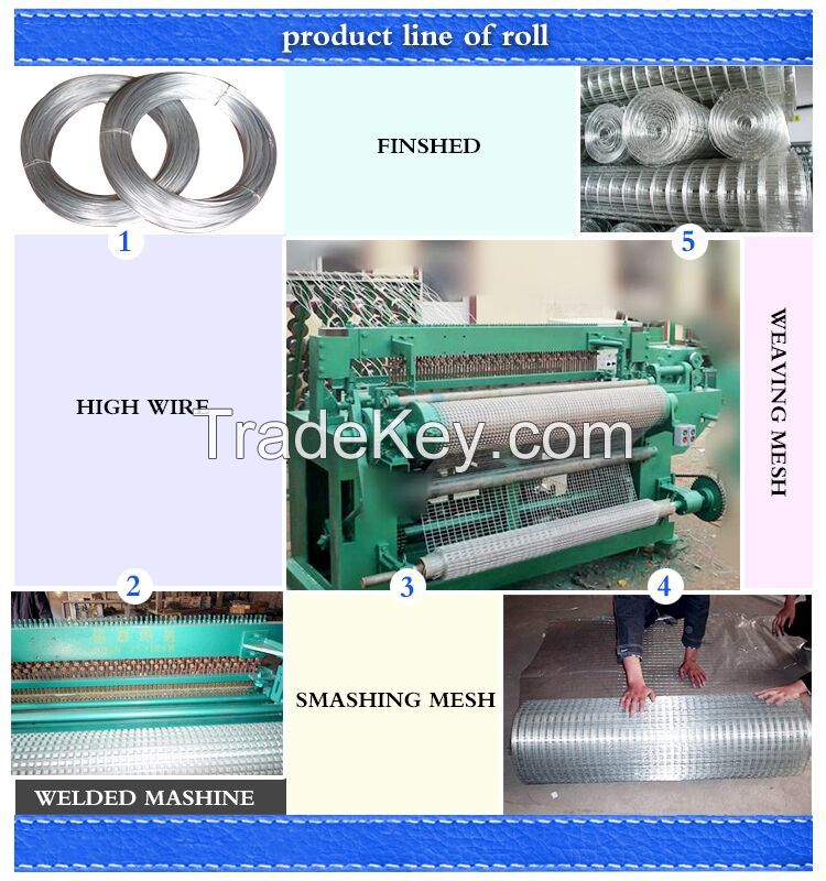 10 Gauge Galvanized Welded Wire Mesh / 2x2 Galvanized Welded Wire Mesh