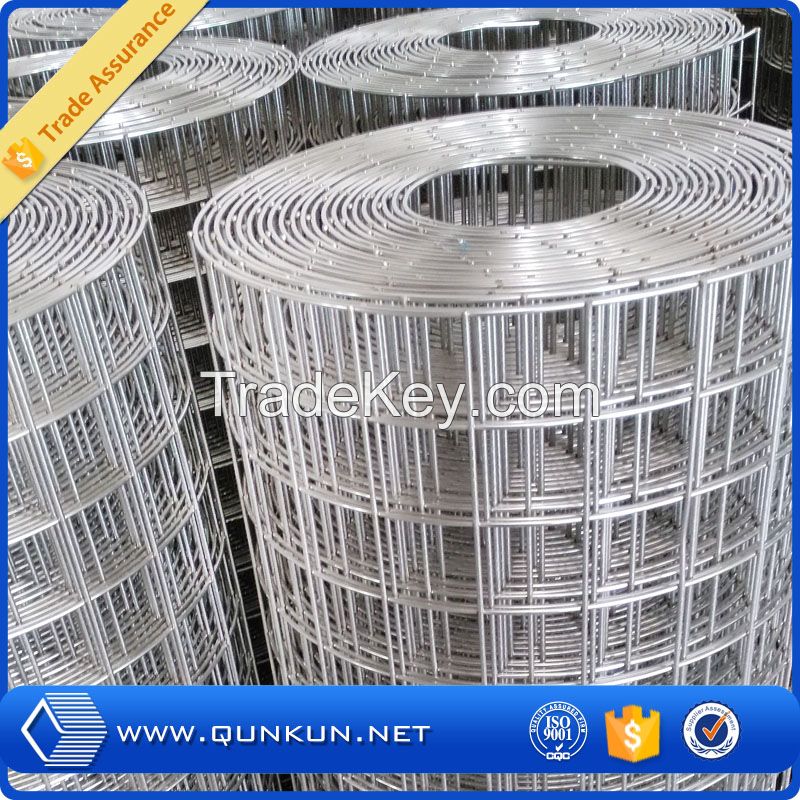 1x1 2x2 galvanized Welded Wire Mesh In Roll