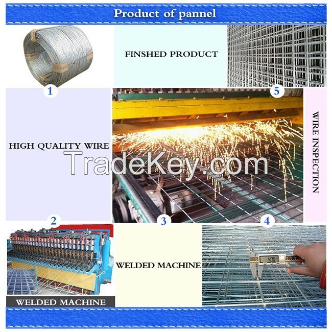 2x2 Hot Dip Electro Galvanized Welded Wire Mesh Price