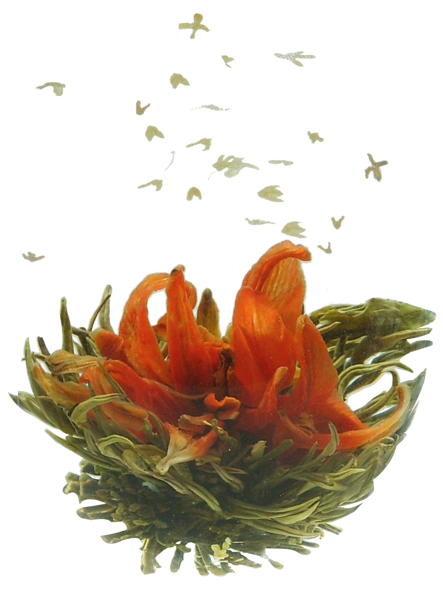 Blooming Tea--SCHOLAR--Sweet Osmanthus