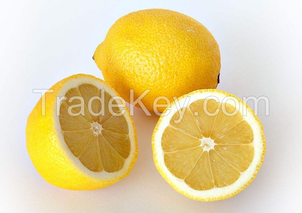 Quality Juicy Fresh Eureka Lemon