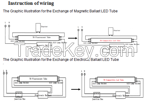 T8 Compatible LED Light Tube