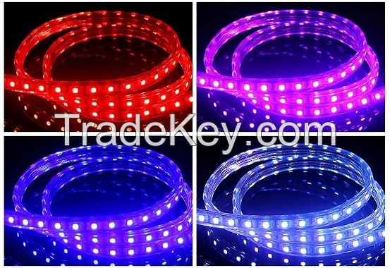 high quality 5050 RGB/SINGLED flexible led strip