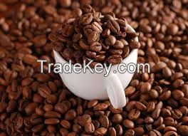  Best Quality robusta coffee beans,raw coffee beans, high quality and low price