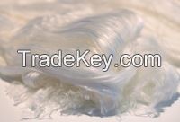 chitosan fiber