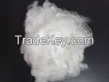 chitosan fiber