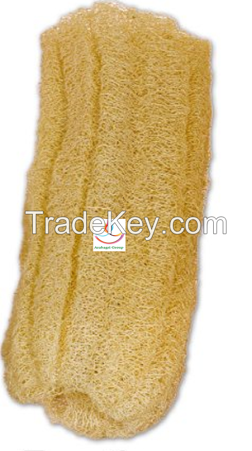 Egyptian Luffa