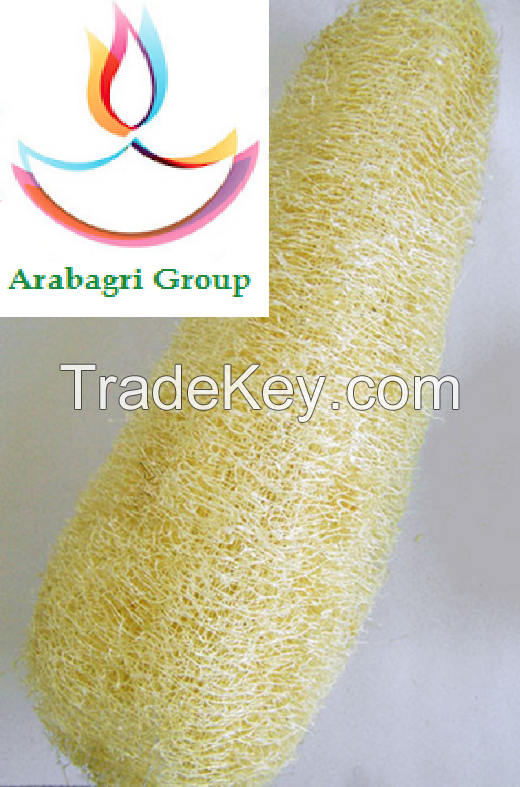 Egyptian Luffa