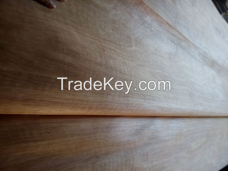 Gurjan/keruing face veneer for plywood