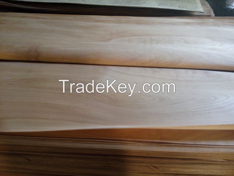 Gurjan/keruing face veneer for plywood