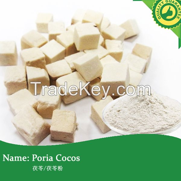 Poria cocos/100% Pure Poria cocos Extract