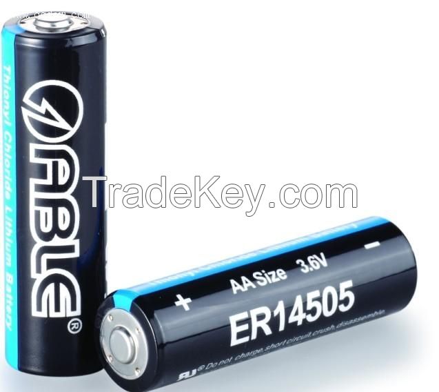 ER14505 LiSOCL2 battery