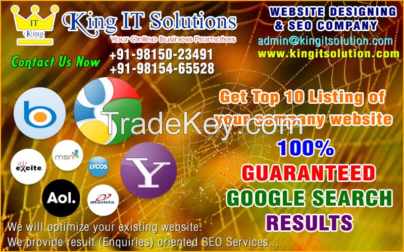 google search engine optimization in ludhiana punjab india