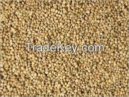 Guar gum powder of guar seeds