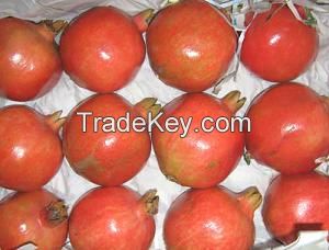 Fresh Pomegranates daily via Air Cargo