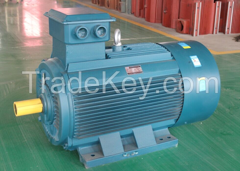 Y Series Three- phase Asynchronous Motor
