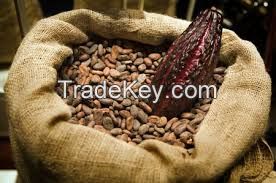Cocoa Beans and Powder