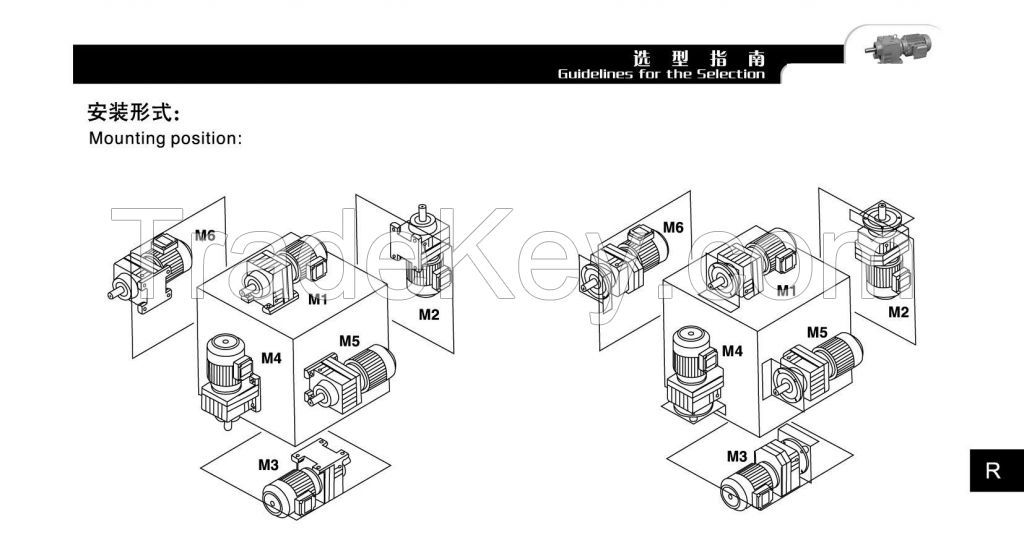 R Series Hardened Tooth Flank Speed Reducer Helical Gear Reducer for Industry