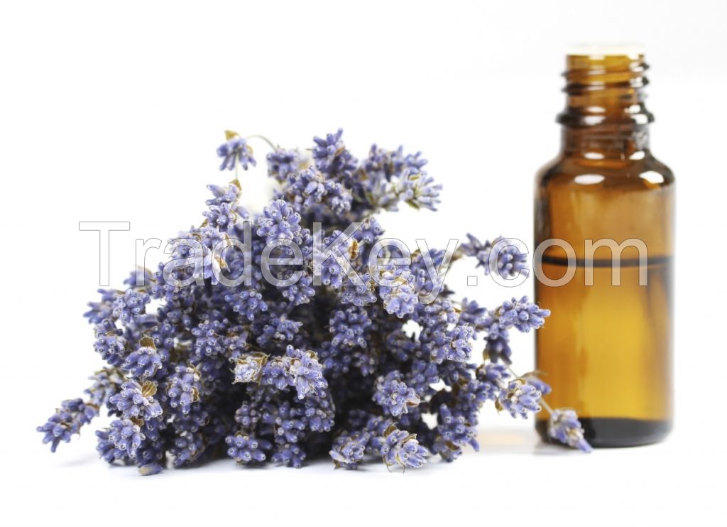 Lavender Oil(lavendula)