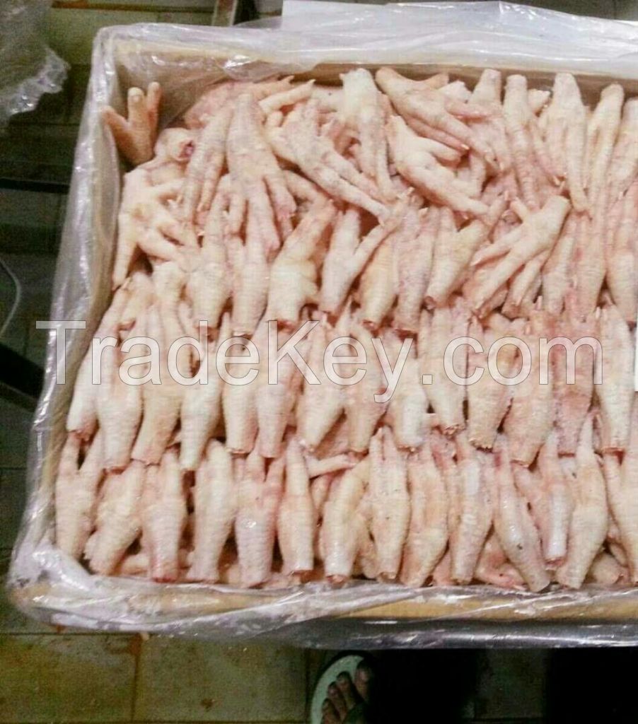 Frozen Processed Chicken Feet Paws Export Quality