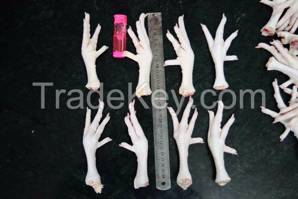 Frozen Processed Chicken Feet Paws Export Quality