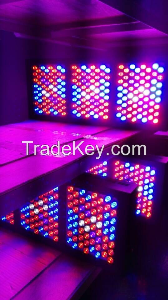 Cheep 320W 640W 960W 1200W 1600W led grow light 5W LEDs led grow lighting for hemp looking for distributor