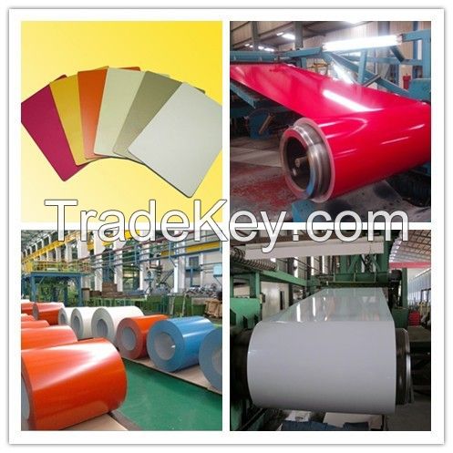 Prepainted Steel Coils