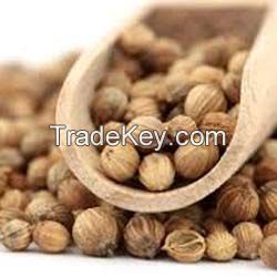 Coriander