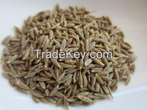 Cumin Seed