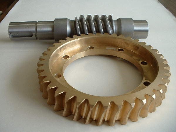 Worm and Gear