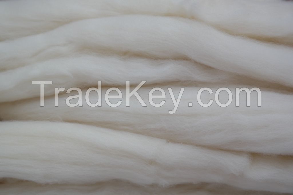 Wool Tops (20 - 30 Microns)