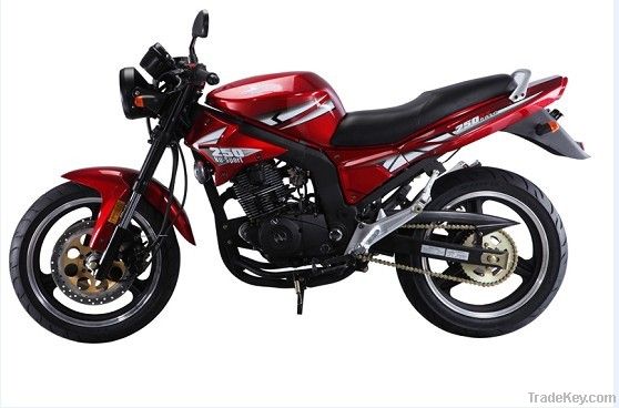 250cc Motorcycle (MK-HH-250GS-1)