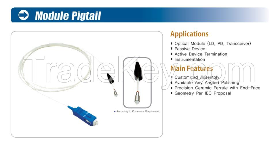 Module Pigtail