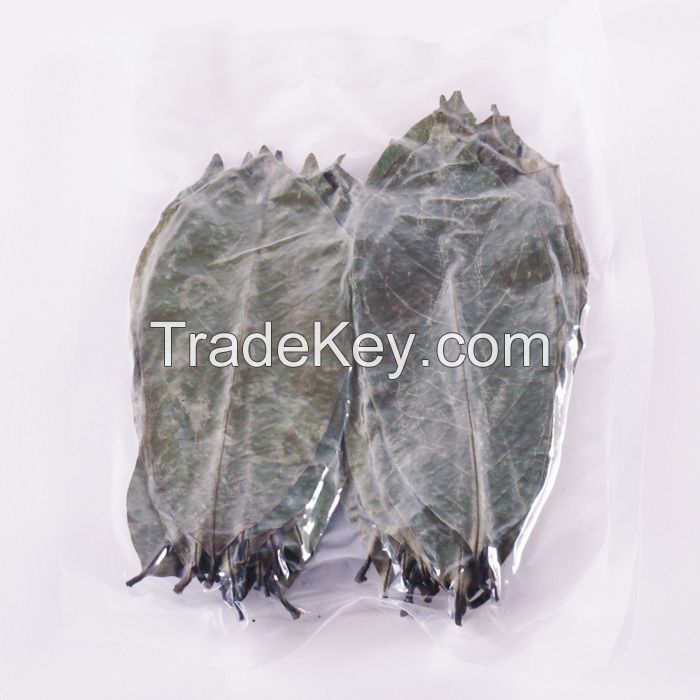 Dried Soursop ( Graviola / Guanabana ) Leaves  SOURSOPLEAVES-GO.COM
