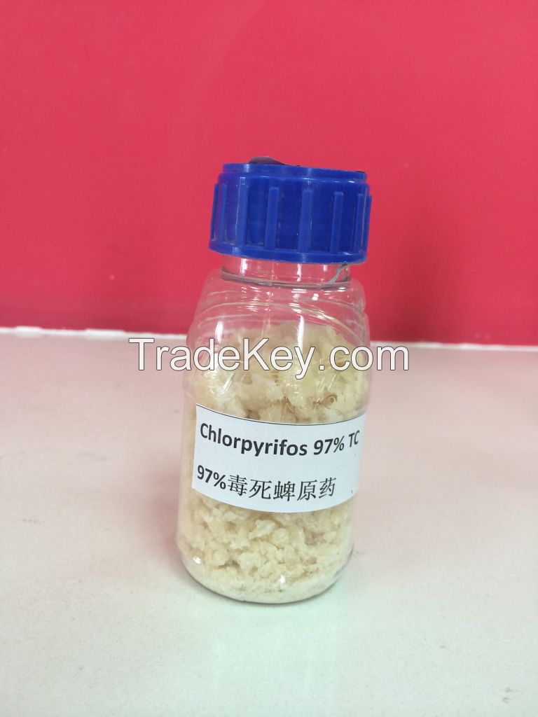 Insecticide-Hot sale Chlorpyrifos 97%TC
