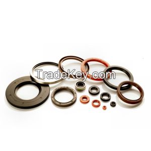 Rotary shaft seal (oil seal)
