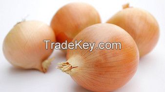 fresh onions