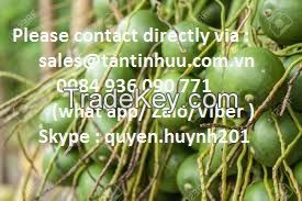 Betel nut from Viet Nam with high quality and best price 