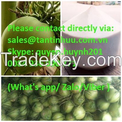 Young coconut from Viet nam with special water 