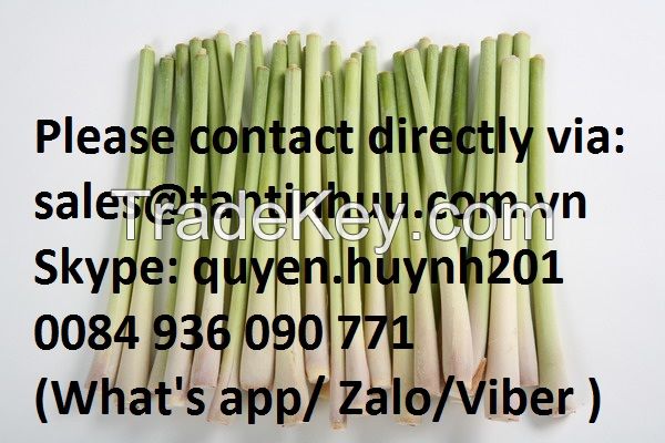 Lemon grass from Viet nam with best price and high quality 