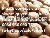 Betel nut from Viet Nam with high quality and best price