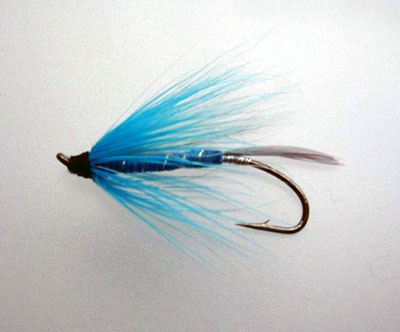 fishing fly