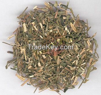 Andrographolide Andrographis paniculata Extract