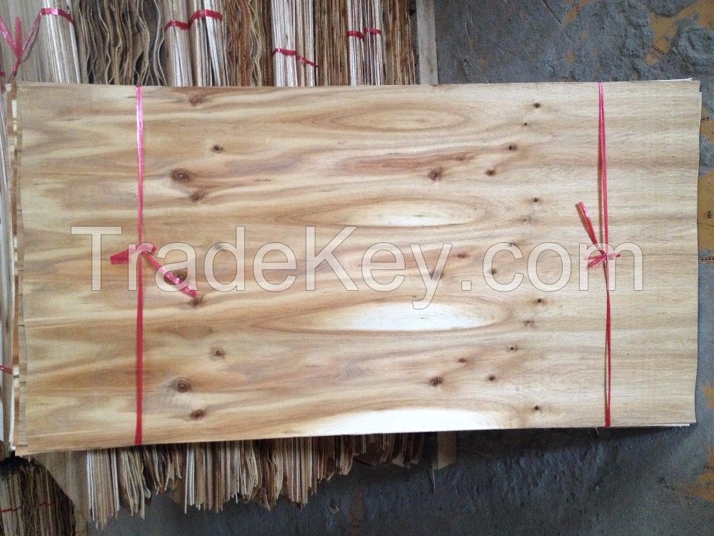 eucalyptus core veneer from vietnam 