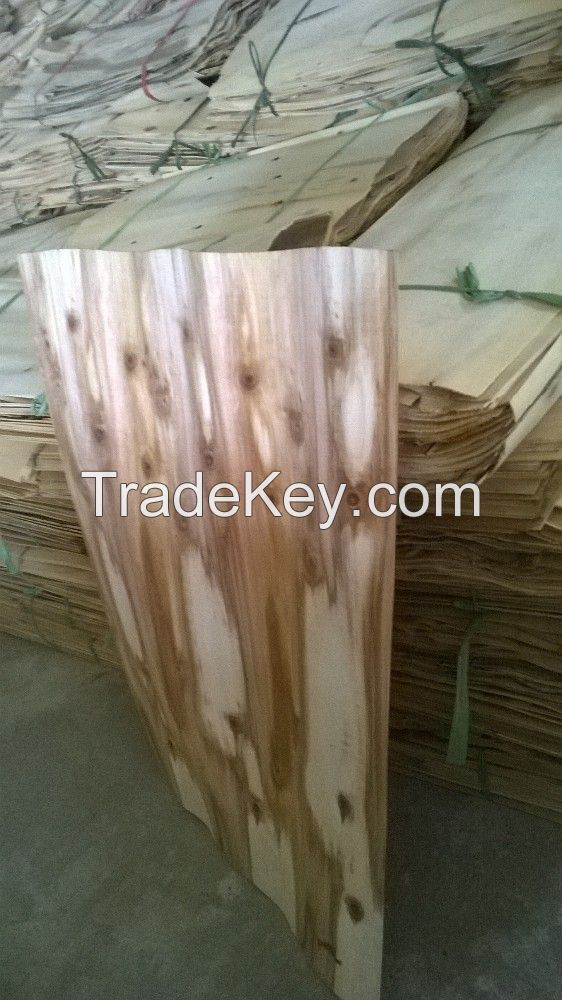 eucalyptus core veneer from vietnam 