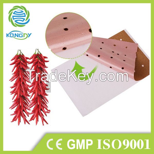 Direct factory OEM&amp;amp;amp;ODM Manufacturer adhesive capsicum hot patch